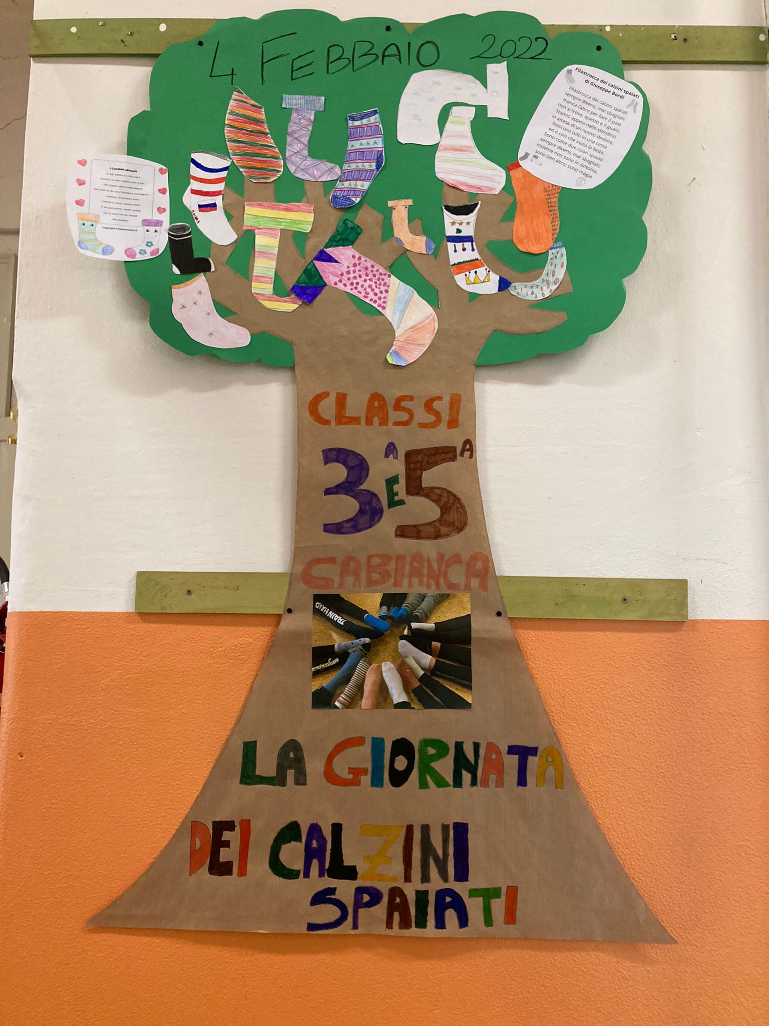 calzini